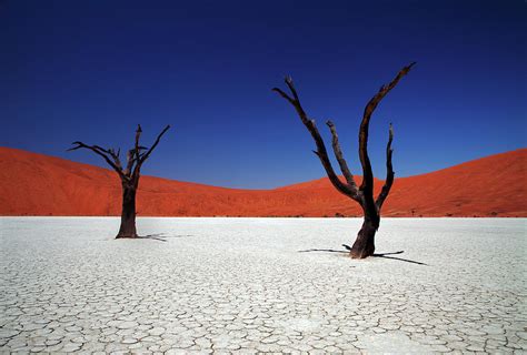 Sossusvlei In Namib Desert Namibia Photograph By Igor Bilic