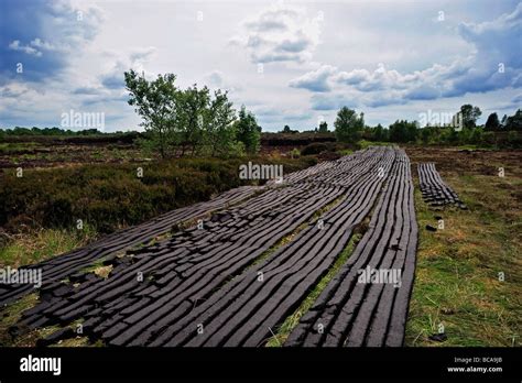 Peat bog ireland hi-res stock photography and images - Alamy