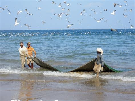 Climate change to cause dramatic drop in Persian Gulf biodiversity and ...