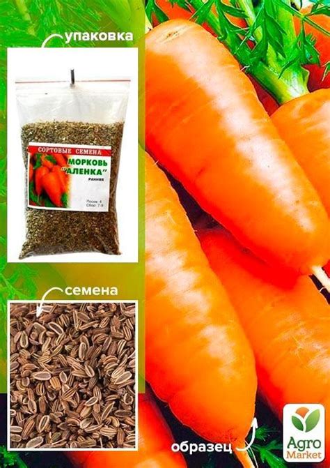 Морковь "Аленка" ТМ "Весна" 100г купить почтой в Одессе, Киеве, Украине ...