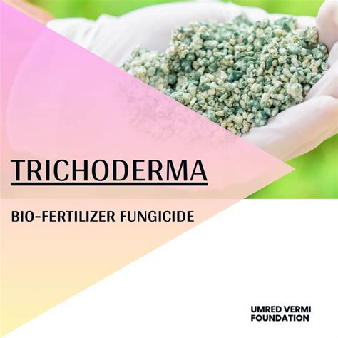 Granules Trichoderma Viride Bio Fertilizer Kg Pp Bag At Rs Kg