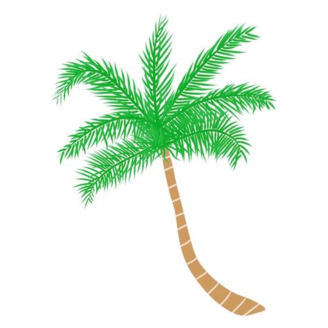 Premium Vector Tropical Palm Tree Vector Illustration