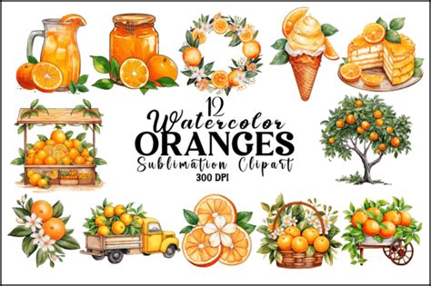 Watercolor Oranges Sublimation Clipart Graphic By Naznin Sultana Jui