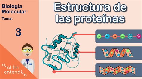 Estructura de las proteínas y enlaces que la estabilizan Al fin