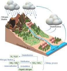 Effect Of Rainfall Runoff Process On Sources And Transformations Of