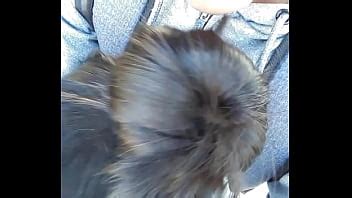 Me da una mamada en el Panteón XVIDEOS