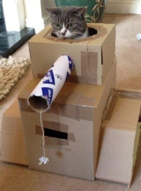 Ten Pictures Of Cats In Tanks Ready To Rule The World