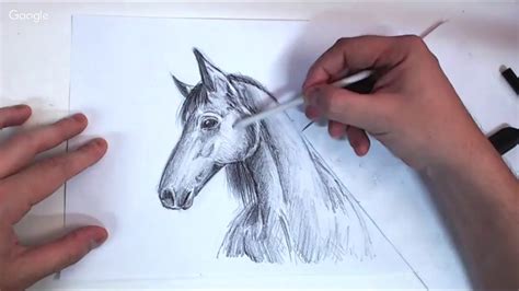 Desenhos De Animais Realistas - 5