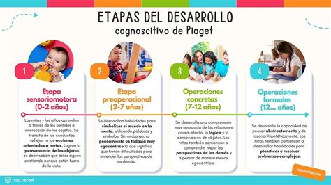 Desarrollo Motor En Niños Una Mirada A La Teoría De Piaget Motorba