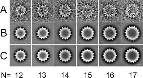 Single Particle Image Analysis And Classification Of A Set Of 15 000