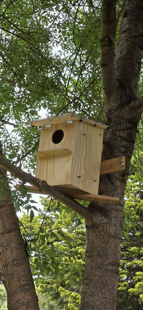 possum box cncathome