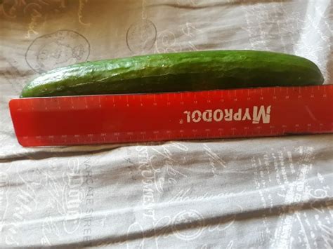 Fucking My Pussy With A Massive Cucumber Almost Didn Fit Pics XHamster