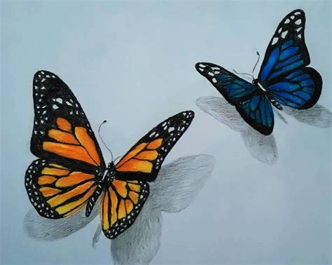 How To Draw A Cool Butterfly At Joyce Hatchett Blog