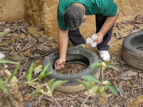 Semana Estadual De Combate Dengue Conta Programa O Especial Em