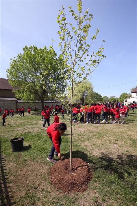 In Photos Atc Trees For Threes Milwaukee Prep Photo Gallery