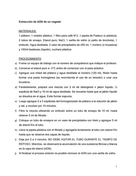 Protocolo Extracci Ã³n ADN 1 Extracción de ADN de un vegetal