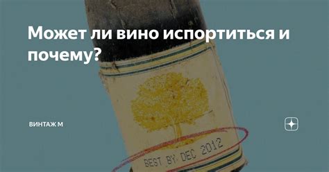 Может ли вино испортиться и почему Винтаж М Дзен