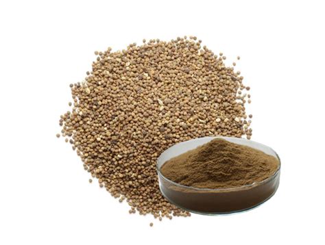 Cuscutae Seed Extract Buy Cuscutae Seed Extract Product On Hunan Huakang Biotech Inc