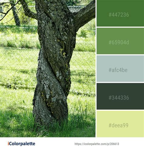 Color Palette Ideas From 3434 Grass Images Icolorpalette Color Palette Palette Color