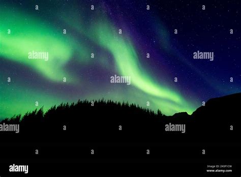 Northern lights in Lofoten, Norway Stock Photo - Alamy