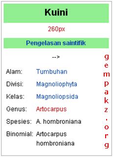 Komuniti Gempakz Gambar Buah Kuini Dan Bacang