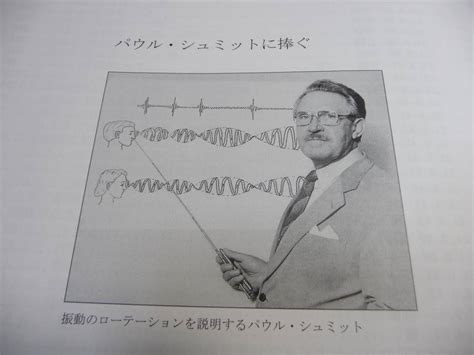 パウル・シュミット式 バイオレゾナンス 入門－機器－使用法ドイツ波動健康日本語版ディートマー・ハイメス澤田美奈