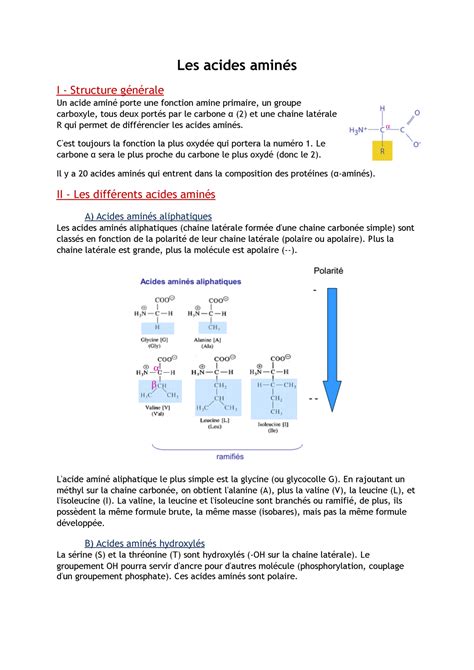 Biochimie Structurale Acides Amin S