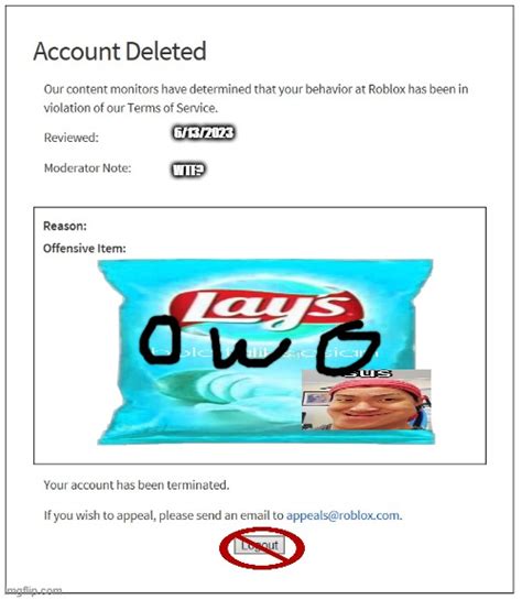 Banned From Roblox Imgflip