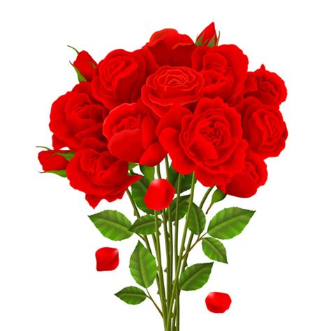 Red Rose Bouquet Vector Free Download