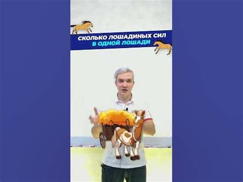 Сколько лошадиных сил в одной лошади? - YouTube