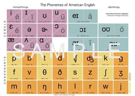 Phonemic Chart American English Ipa Ahd — Grow Your English With Jennifer