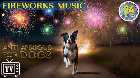 24 Hours Of Relaxing Music For Dogs To Calm From Fireworks Loud Noises