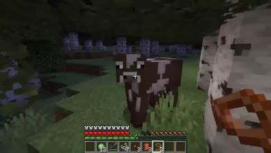 How to Make A Minecraft Lead & Use It + Pros & Cons - Appuals