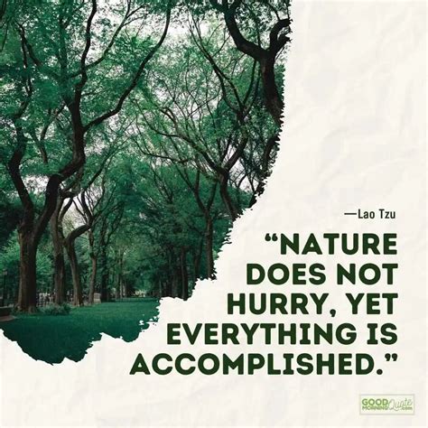 30 Beautiful Quotes about Nature with Images to Inspire you