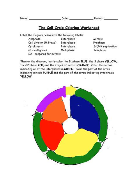 Cell Cycle Worksheet N A Name Date Period The Cell Cycle