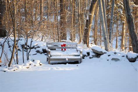 January snow | Snow, Outdoor