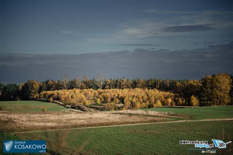 Galeria Xvii Gminne Biegi Z Okazji Wi Ta Niepodleg O Ci Km