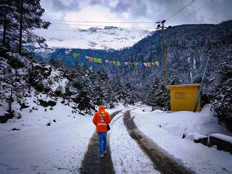 North Sikkim Tour 3 Days Gurudongmar Yumthang Valley Tour