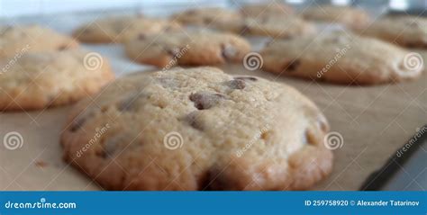 Homemade Chocolate Chips Cookie Stock Photo Image Of Fruit Bread