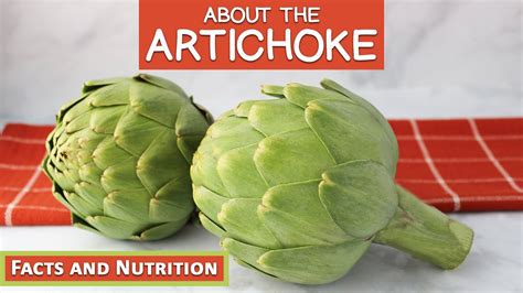 About The Artichoke Interesting Facts Preparation And Nutrition Youtube