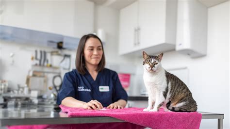 Cat Microchipping Everything You Need To Know Pet Health Club