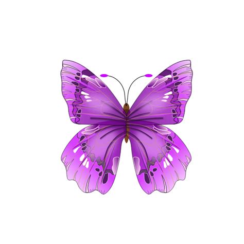 Pretty Butterfly Svg