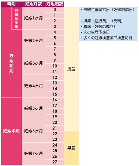 切迫流産の症状や原因と予防のためにできること 新型出生前診断 Nipt Japan