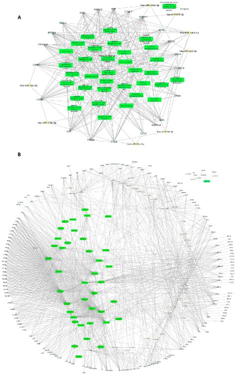 Mirna Mrna Network Analysis Of Degs Involved In Viral Biological