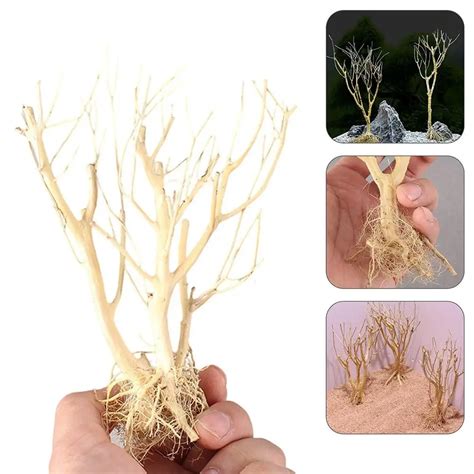 Ramo De Rvore De Madeira Natural Driftwood Para Aqu Rio Ornamentos De