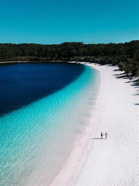 Fraser Island Trails Take In Lake Mackenzie And Pile Valley The