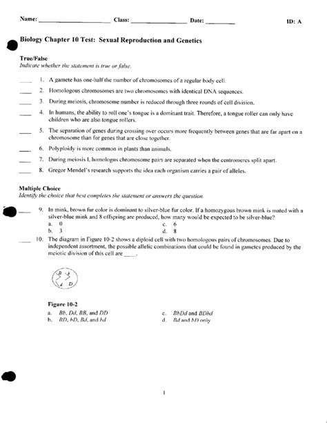 Chapter 10 Practice Test Sexual Reproduction And Genetics