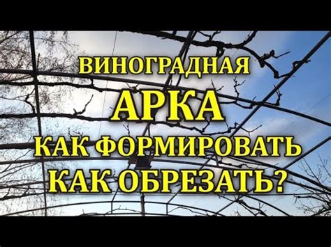 ВИНОГРАДНАЯ АРКА -ПРОСТОЙ СПОСОБ ОБРЕЗКИ -ФОРМИРОВКА - YouTube