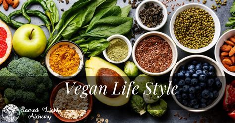 5 Reasons Why I Chose A Vegan Lifestyle Sacred Light Alchemy