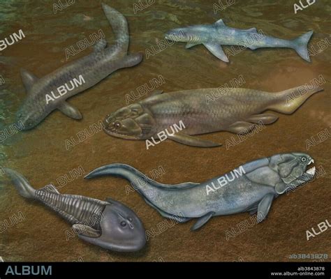 Prehistoric Fishes Illustration Album Alb3843878